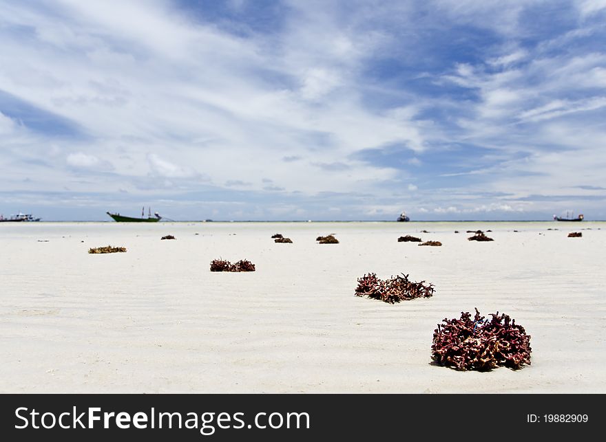 White Beach with red coral. White Beach with red coral