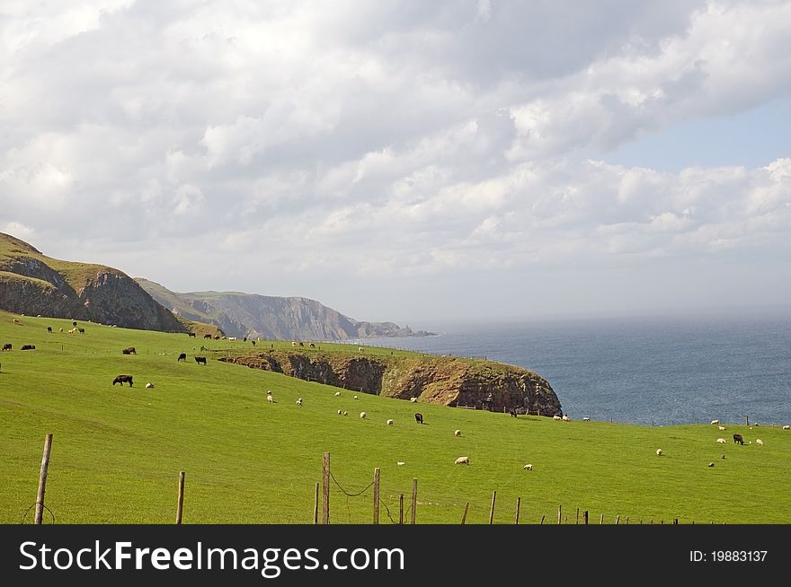 Farmland On The Scottish Coast