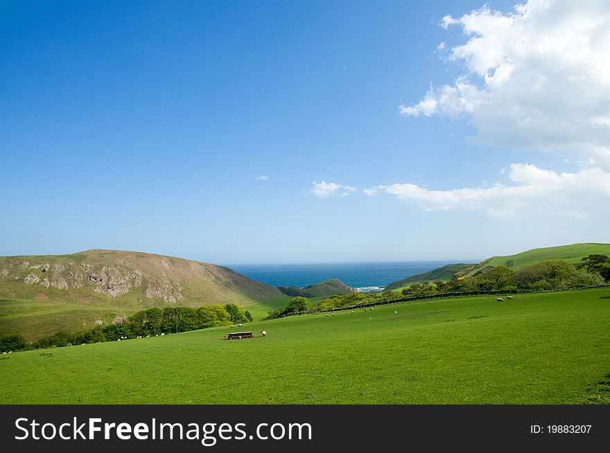 Green cliffs and coast