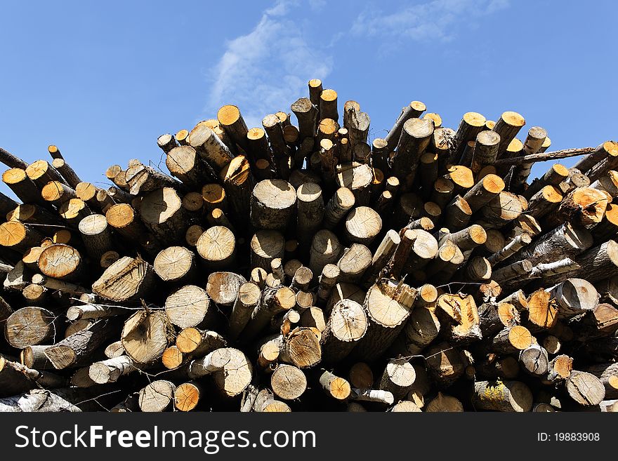 Big woodpile and blue sky in spring
