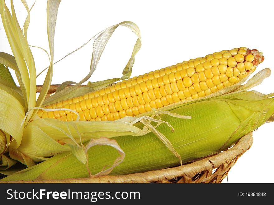 Corn cobs in basket. Isolated