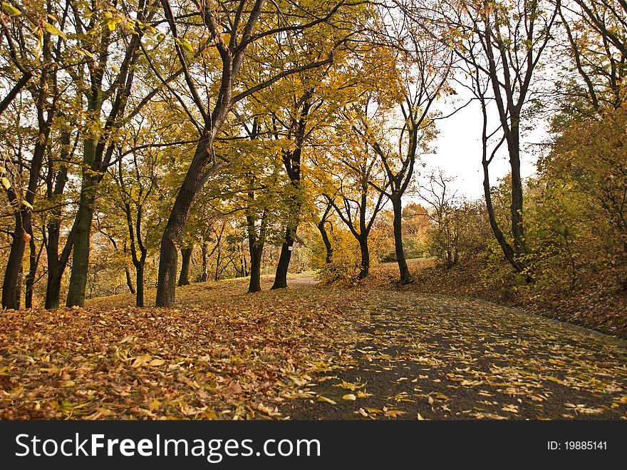 Great shot of a park in Budapest. Great shot of a park in Budapest.