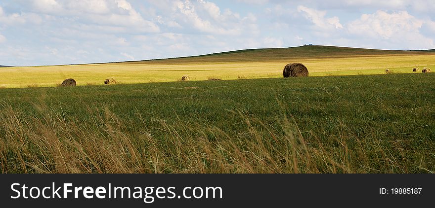 Hulun Buir Grassland in Inner Mongolia, it's autum time.