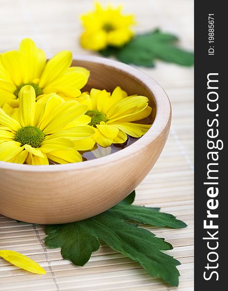 Yellow daisies in wooden bowl. Spa theme. Yellow daisies in wooden bowl. Spa theme