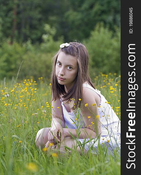 Portrate of the girl sitting among meadow flowers