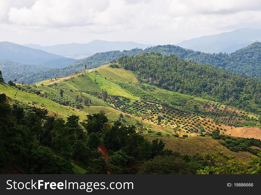 Landscape of mountain in north of Thailand