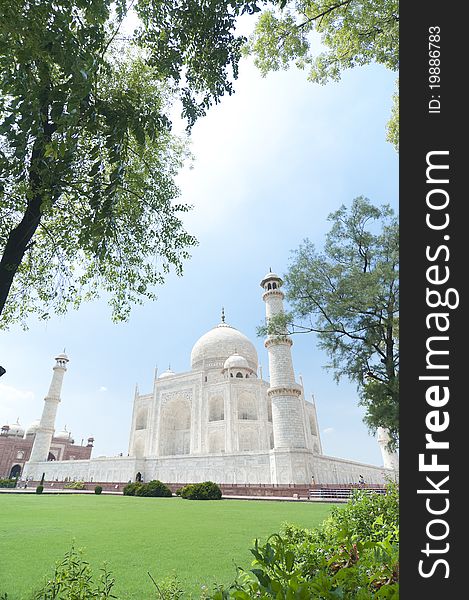 Taj Mahal between trees in Agra, India. (portrait orientation)