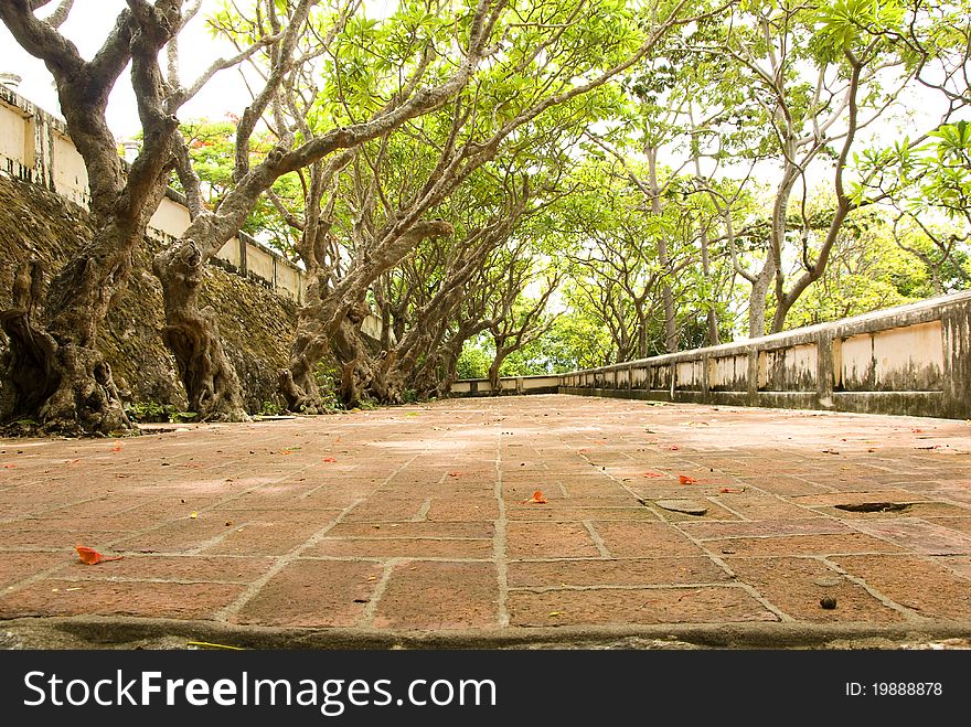 Winding Path in a Peaceful Landscape Garden. Winding Path in a Peaceful Landscape Garden