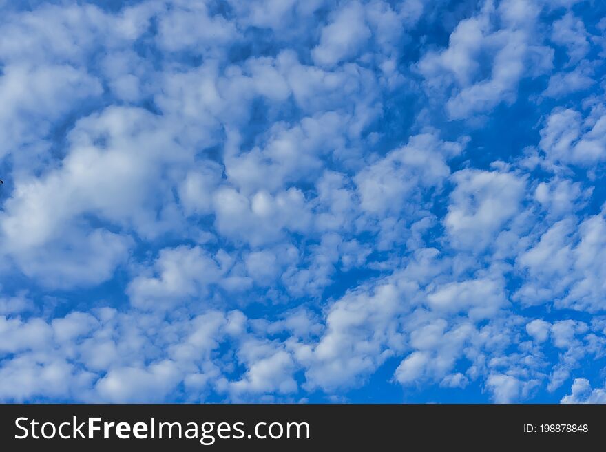 Beautiful Blue Skies With White Cumulus Clouds