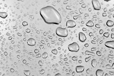 Water Droplets Royalty Free Stock Photography Water Droplets Royalty Free Stock Photography
