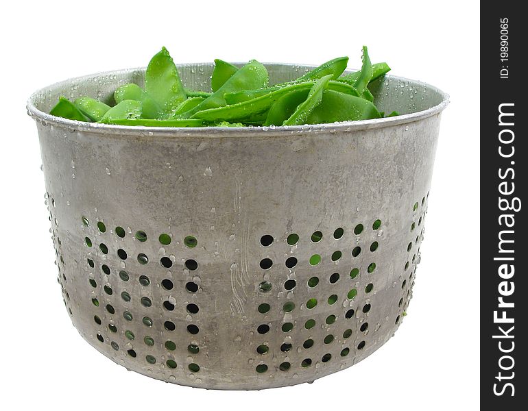 Bucket of freshly picked organic snow peas. Bucket of freshly picked organic snow peas