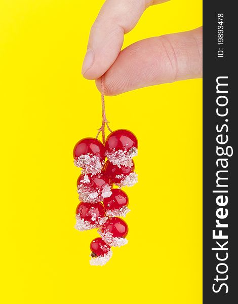 Studio-shot of fingers holding red currants coated with sugar, on a yellow background. Studio-shot of fingers holding red currants coated with sugar, on a yellow background.