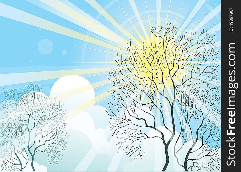 Sun rays shine through the tree  in autumn day.Vector illustration of landscape. Sun rays shine through the tree  in autumn day.Vector illustration of landscape