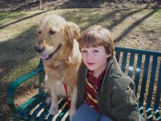 Boy And Golden Retriever On Bench Royalty Free Stock Images Boy And Golden Retriever On Bench Royalty Free Stock Images