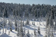 Winter Landscape Stock Photo Winter Landscape Stock Photo