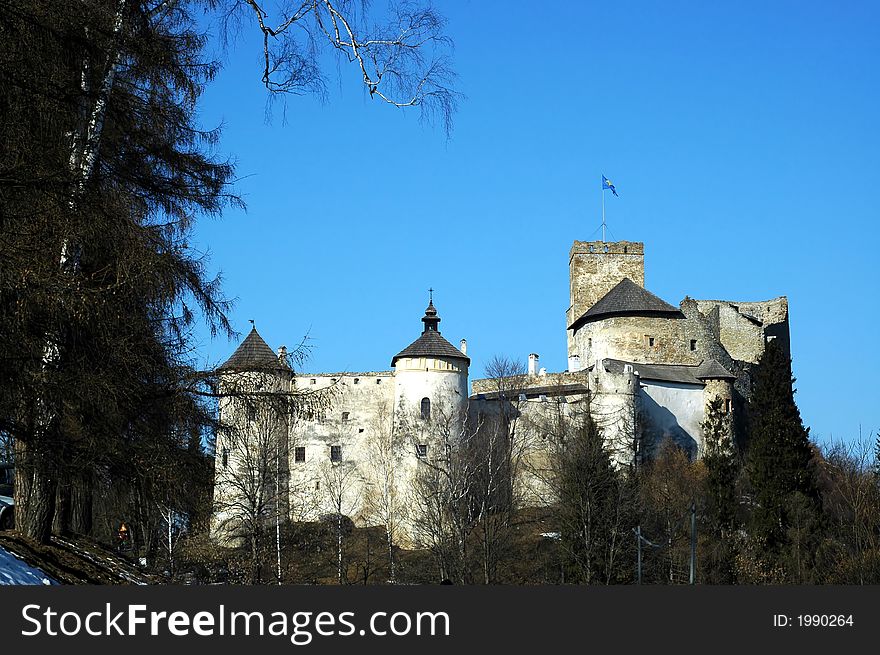 Medieval castle in Poland. View.