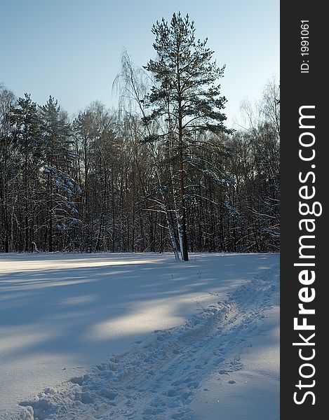 Ski-track at clearing in a winter forest