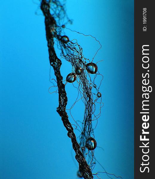 Macro shot of water drops on small branch. Macro shot of water drops on small branch.