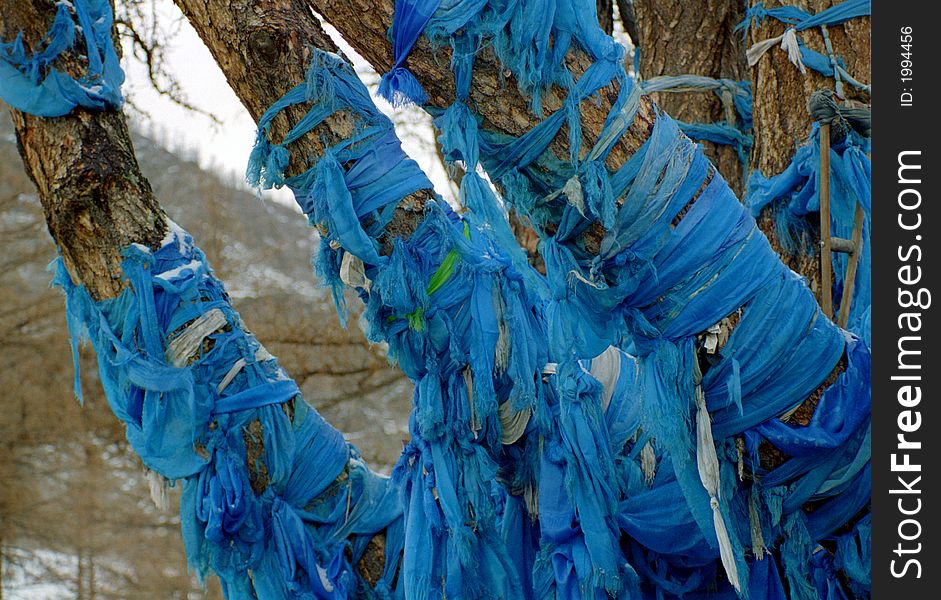 Mongolian Worship Place - Detail