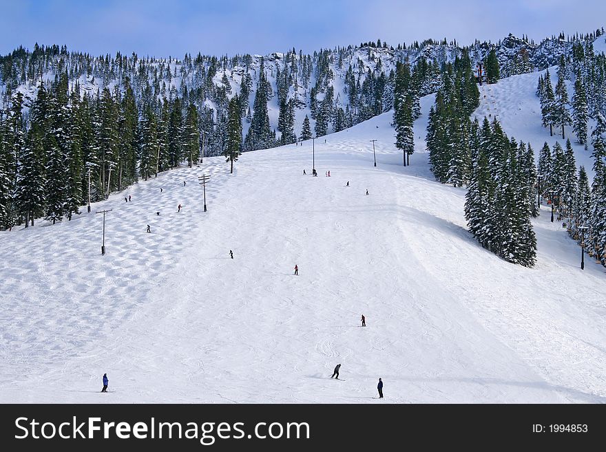 Snow slopes with skiers and lifts. Snow slopes with skiers and lifts