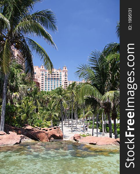 Tropical Hotel Resort