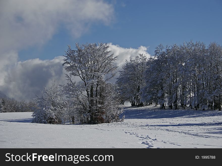 Landscape of mountain snow-covered in the brown;