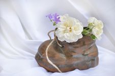 Shoe With Flowers Royalty Free Stock Photos Shoe With Flowers Royalty Free Stock Photos
