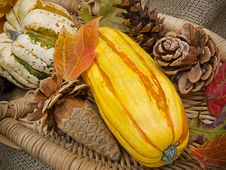 Basket Of Fall Fruits And Cones Royalty Free Stock Photo