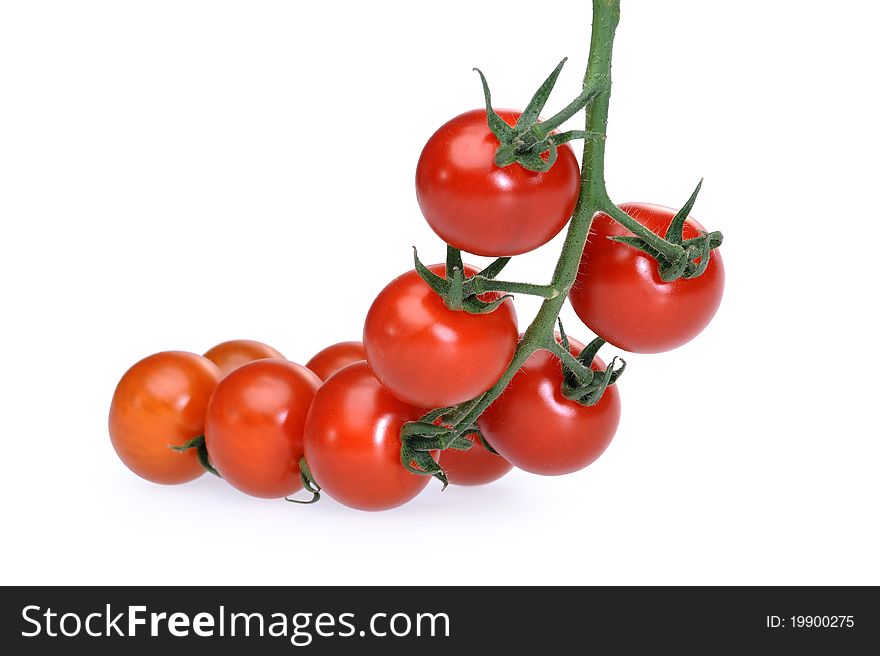 Juicy red tomatoes on the isolated background