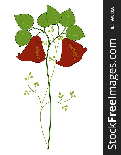 Vector illustration of beautiful single stemmed flower. Vector illustration of beautiful single stemmed flower
