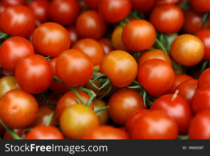 Juicy red tomatoes on the isolated background