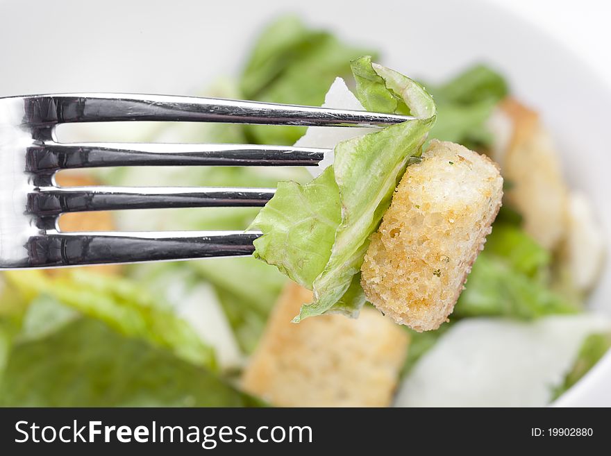 A green salad with croutons and cheese. A green salad with croutons and cheese