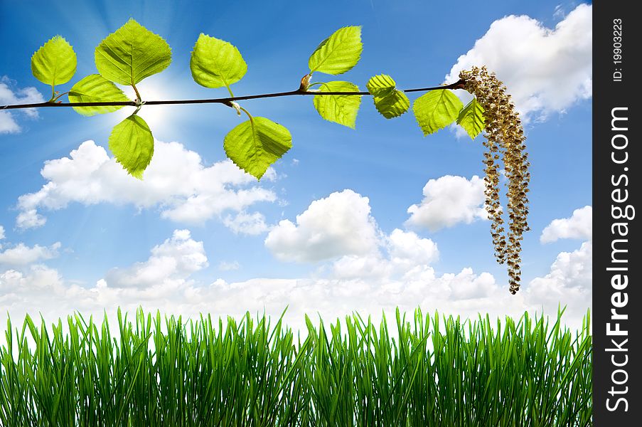 Green grass against cloudy sky