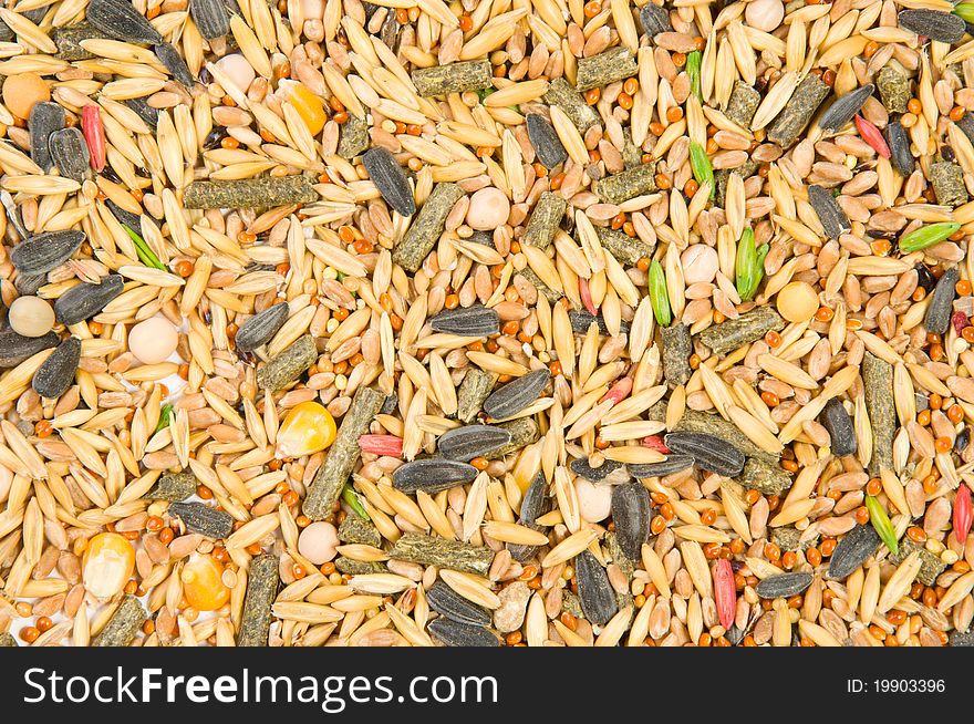 Close up texture from various cereals. Close up texture from various cereals