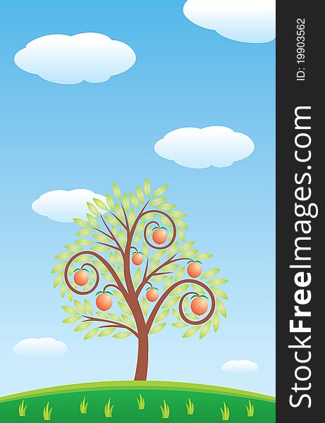 Fruit tree, green Meadow and the blue sky with clouds. Vector drawing. Fruit tree, green Meadow and the blue sky with clouds. Vector drawing.