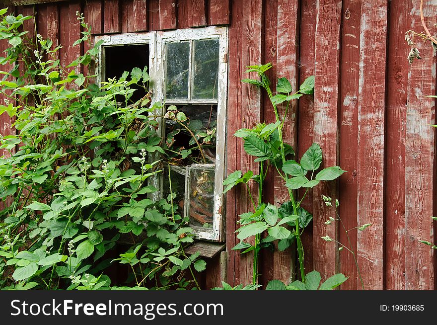 Old window in summerhouse that needs renovation