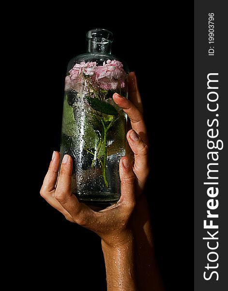 Flowers in a bottle with water. Flowers in a bottle with water