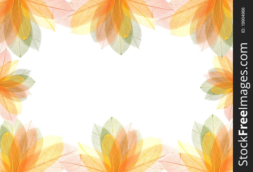 Transparent colorful summer leaves frame isolated on white. Transparent colorful summer leaves frame isolated on white