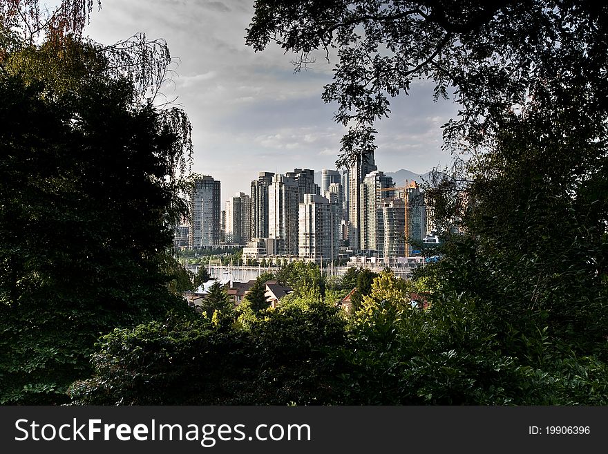 The city of Vancouver, BC, Canada, discovered through the trees. The city of Vancouver, BC, Canada, discovered through the trees