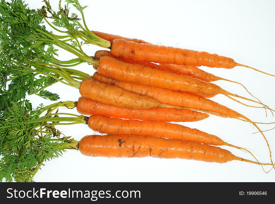 Baby Carrot Plants With Leaves And Roots On A White Background. Baby Carrot Plants With Leaves And Roots On A White Background