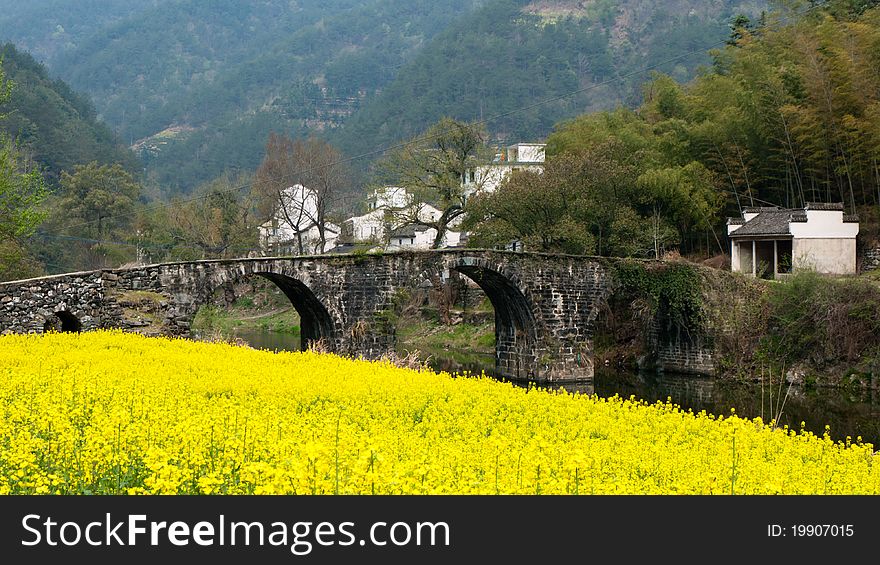 Chinese landscape -- ancient bridge and oilseed reap flowers