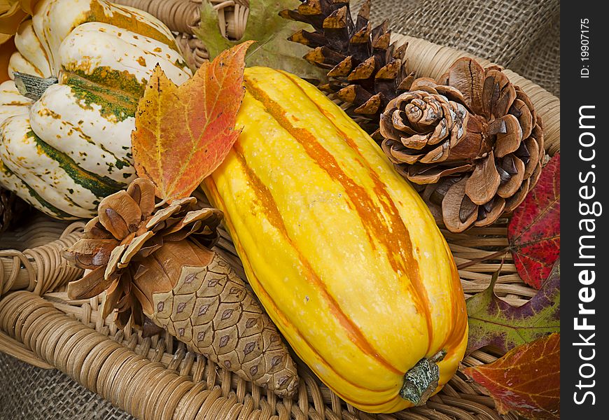 Close-up of colorful squashes and pine cones in a wicker basket with red autumn leaves. On a burlap background. Close-up of colorful squashes and pine cones in a wicker basket with red autumn leaves. On a burlap background.