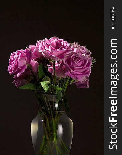 A low key studio image of pink roses in a glass vase. A low key studio image of pink roses in a glass vase.