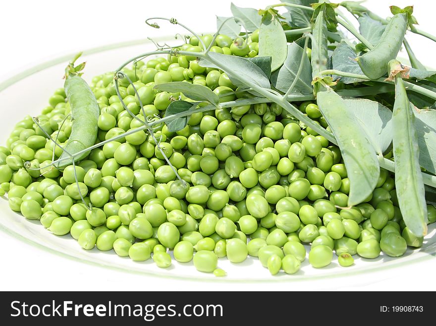 Green peas with plant on white background