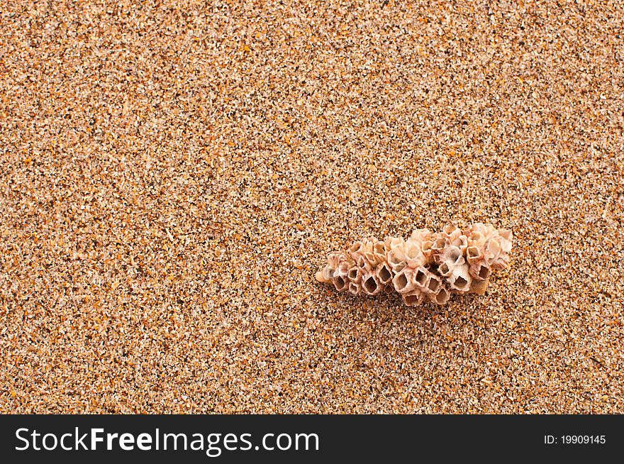 Close up texture of brown sand beach