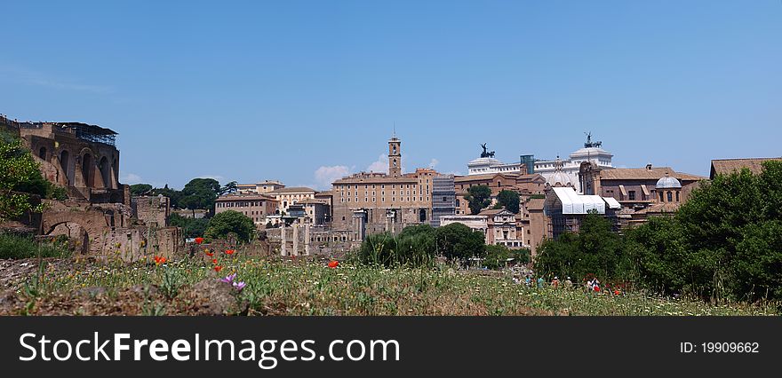 The view of the Forum Romanum, Rome, Italy