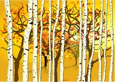 Autumn Mood Stock Photo Autumn Mood Stock Photo