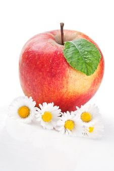 Red Apple And Flowers Stock Images Red Apple And Flowers Stock Images