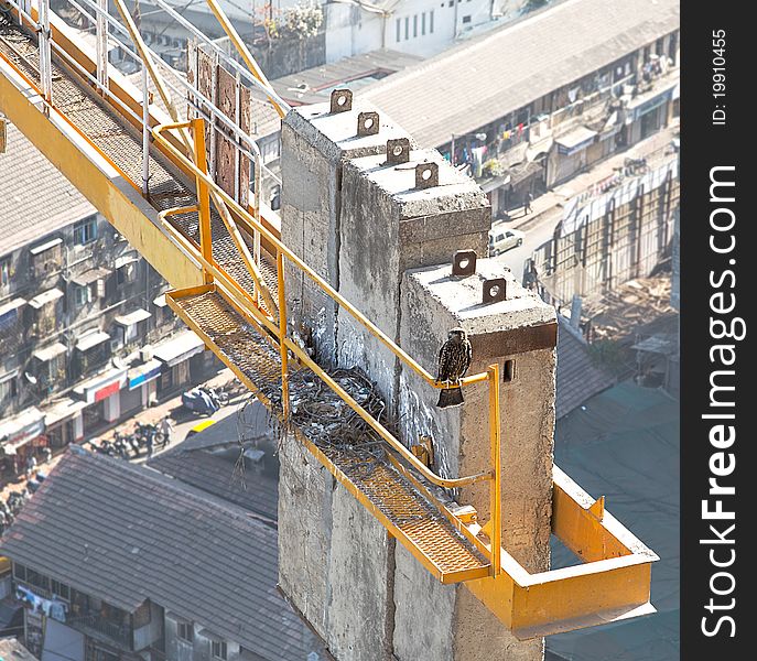 Urban scene kite on overhead crane