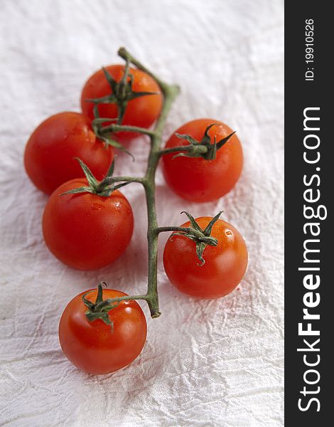 Cherry tomatoes on stems, on a white fabric background. Cherry tomatoes on stems, on a white fabric background.